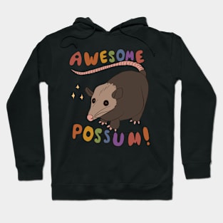 Awesome Possum! Hoodie